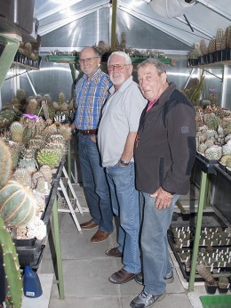  Kakteenhock bei Conny & Dieter 04 09 2015